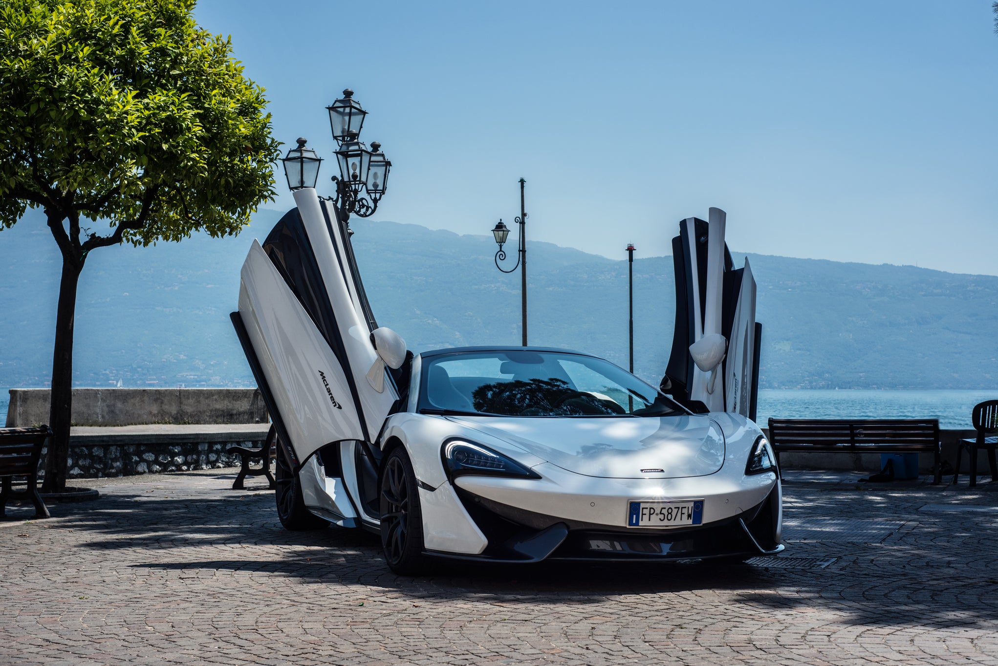ガーベラ Black Oriental Weavers Ariana Rug - Carpet & Tile Mart